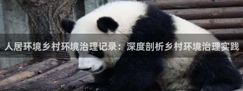 凯发k8旗舰厅注册登录：人居环境乡村环境