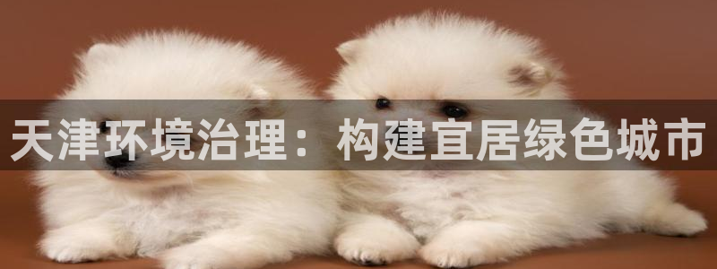 凯发k8官网下载客户端中心：天津环境治理