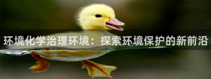 k8凯发国际官方入口：环境化学治理环境：