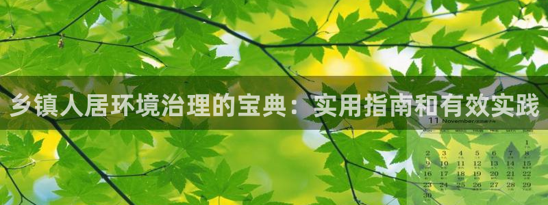 凯发k8·中国官方网站|乡镇人居环境治理