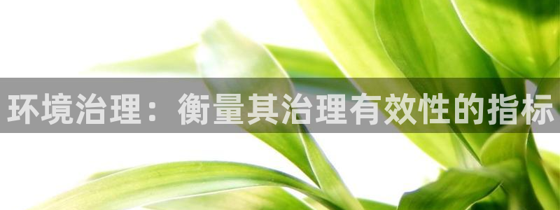 凯发k8官网下载客户端中心|环境治理：衡