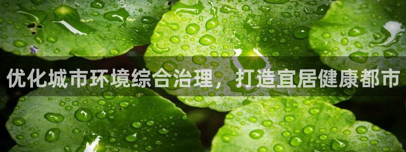 凯发就来凯发天生赢家一触即发|优化城市环境综合治理，打造宜居健康都市