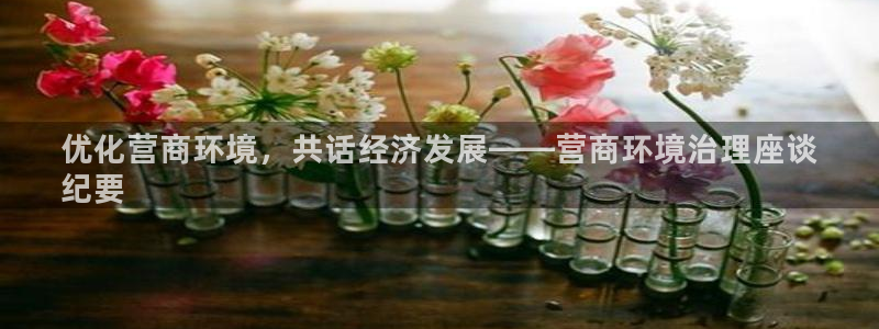 凯发国际官方网站|优化营商环境，共话经济