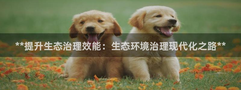 凯发k8国际手机下载|**提升生态治理效