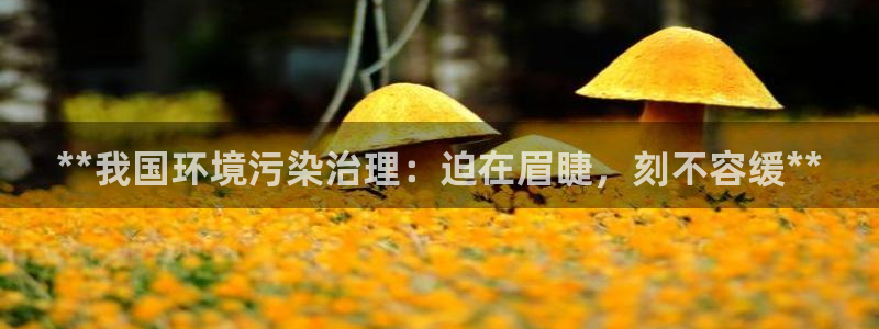 k8凯发|**我国环境污染治理：迫在眉睫，刻不容缓**