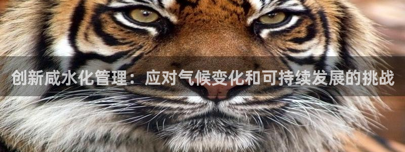 凯发k8官网登录vip|创新咸水化管理：