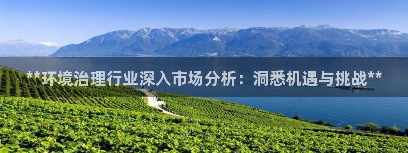 凯发k8国际首页登录|**环境治理行业深