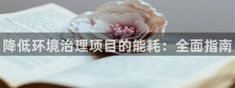 凯发k8国际首页登录|降低环境治理项目的