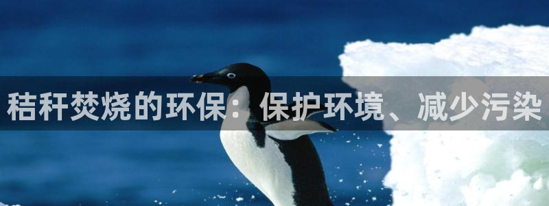 凯发k8官网下载客户端中心|秸秆焚烧的环保：保护环境、减少污染