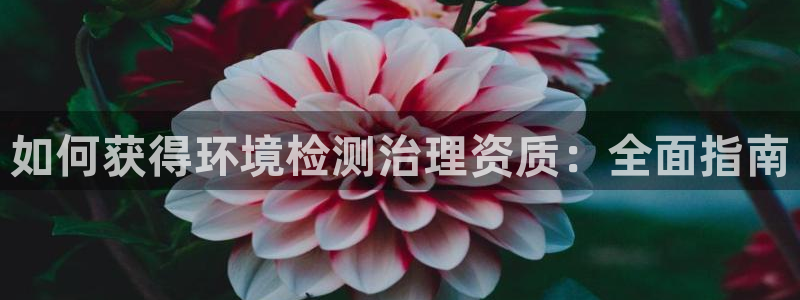 凯发k8国际手机下载|如何获得环境检测治理资质：全面指南